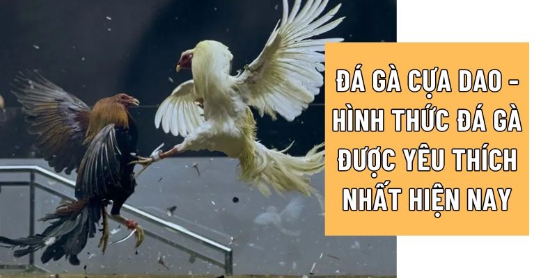 đá gà cựa dao 78win